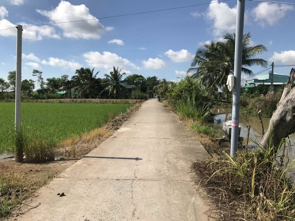 Đất nền 2000m² Tân Điền, Gò Công Đông chỉ 850 triệu - Đầu tư sinh lời ngay!