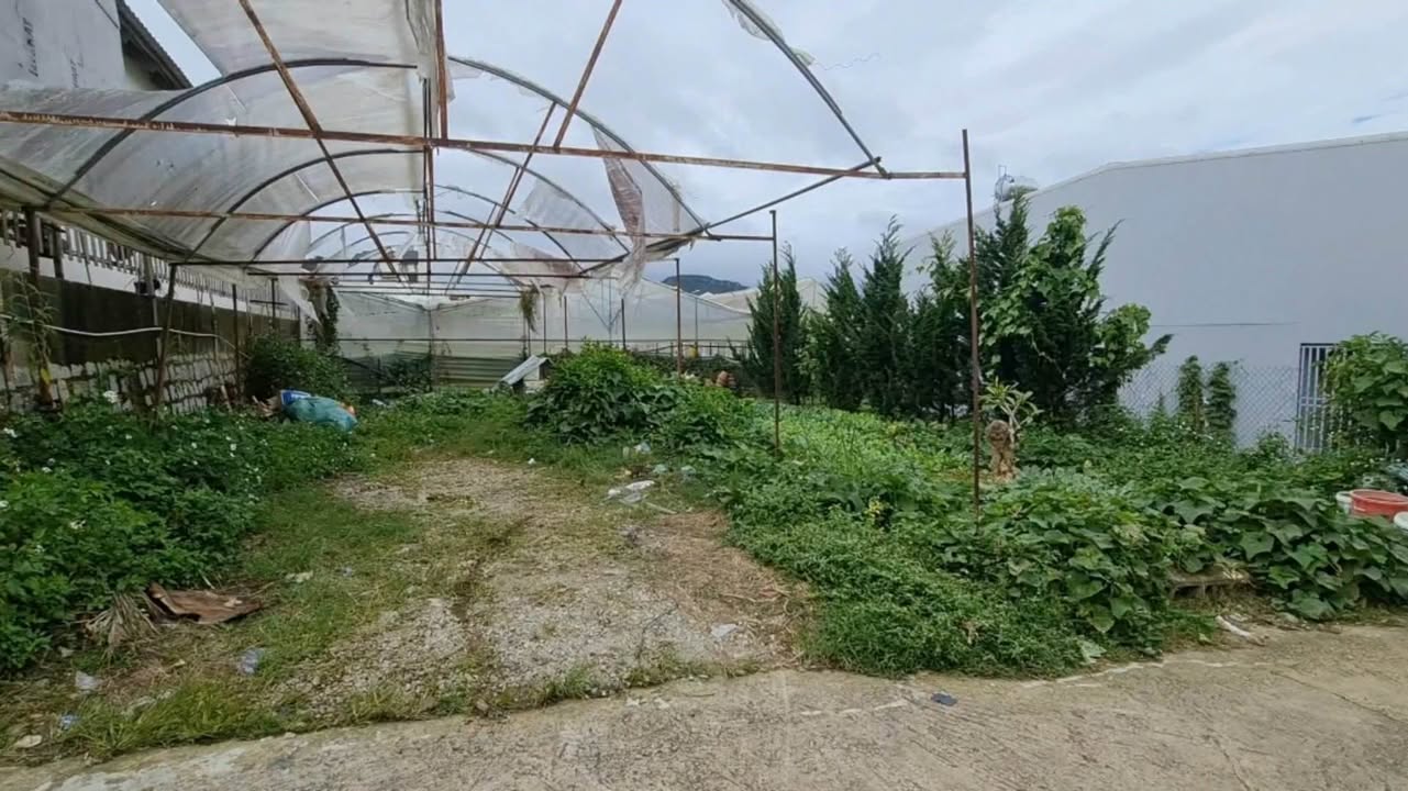 Lô đất xây dựng Đà Lạt 74m² giá 2.55 tỷ - Cần bán gấp!