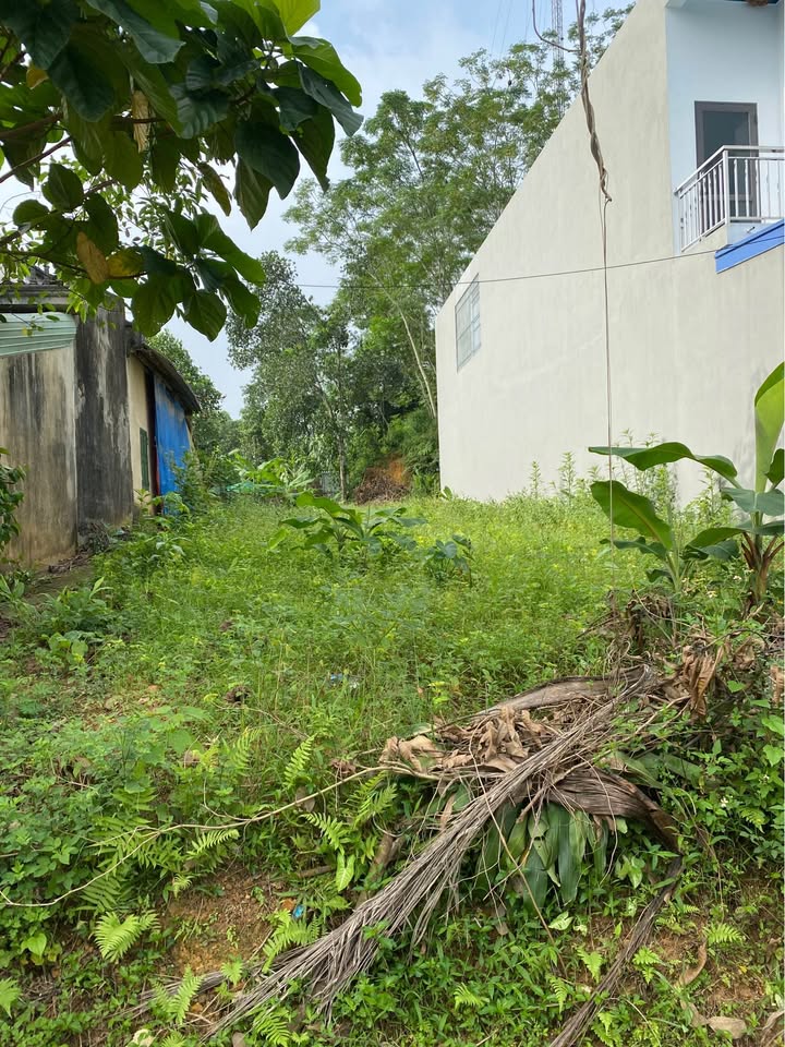 Đất nền Lục Ba, Đại Từ, Thái Nguyên 175m² giá 1.6 tỷ - Mặt đường ô tô rộng rãi!