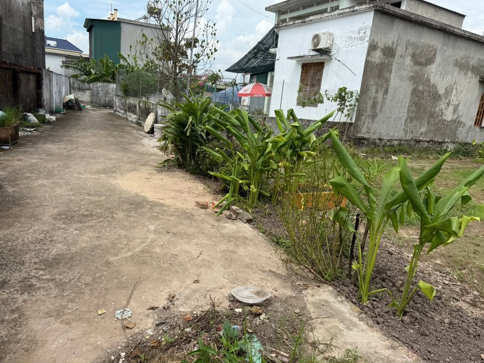 Đất nền Bình Nguyên Kiến Xương 88m² giá chỉ 300 triệu - Đường xe vào tận nơi!