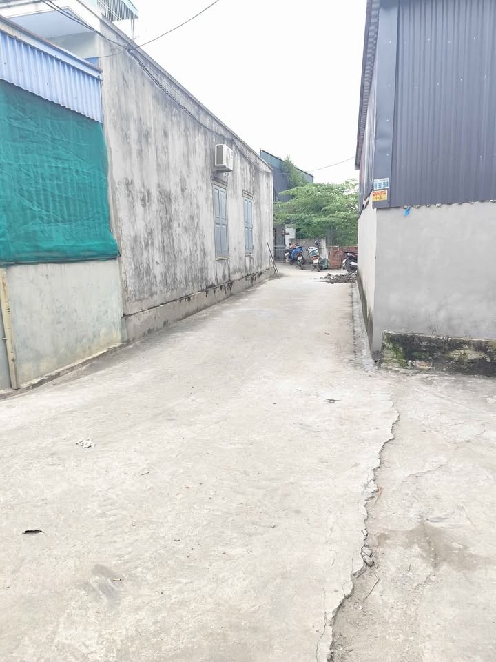 Đất nền Thủy Nguyên 85m² giá 1.6 tỷ - Đầu tư sinh lời ngay!