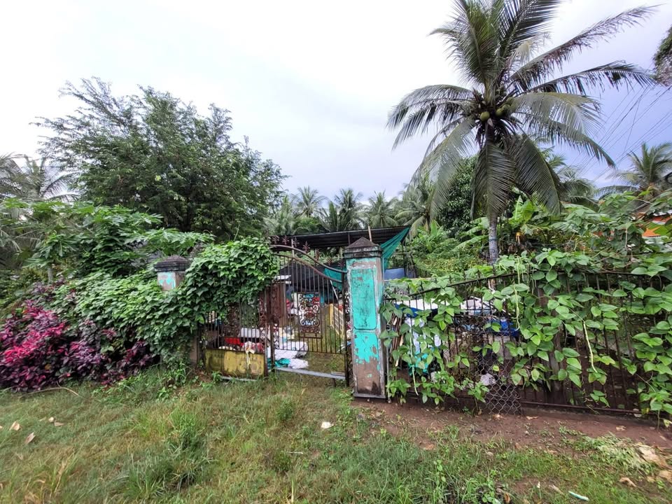 Đất nền mặt tiền đường nhựa Lộc Thuận 433.3m² giá 82.27 tỷ - Đầu tư sinh lời ngay!