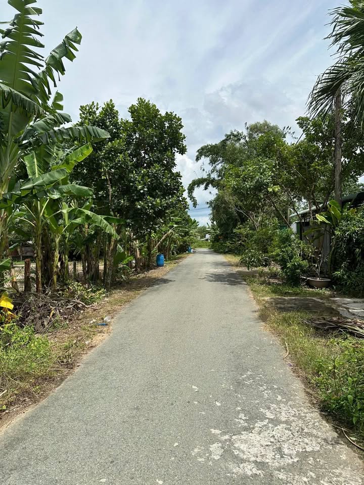 Đất thổ cư xã Thái Mỹ - Củ Chi 289m² giá 2.4 tỷ - Đường nhựa thông thoáng, dân cư hiện hữu!