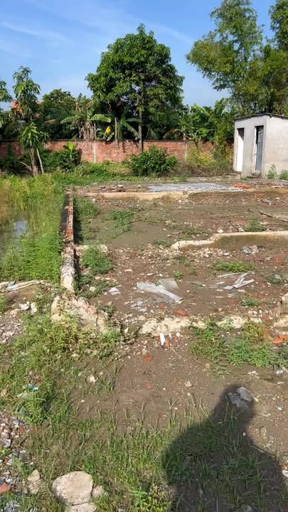 Đất thổ cư 190m² tại Rạch Kiến, Cần Đước chỉ 550 triệu - Sổ hồng riêng