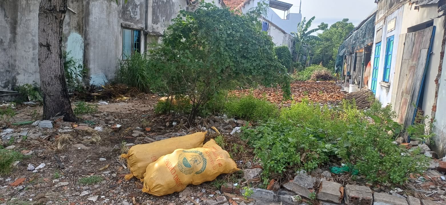 Đất mặt tiền đường Ngô Gia Tự, phường Phú Đông, 384m² giá 3.3 tỷ - Cơ hội đầu tư hấp dẫn!