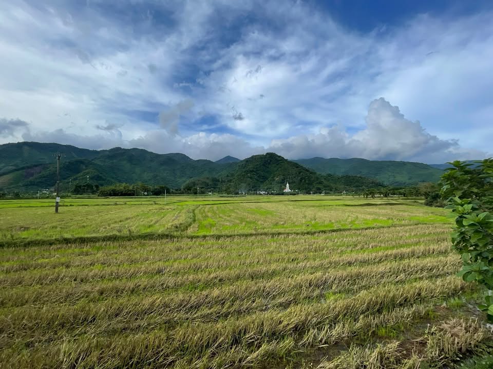 Đất vườn Hòa Bắc Đà Nẵng 805m² - Tiềm năng làm homestay tuyệt vời!