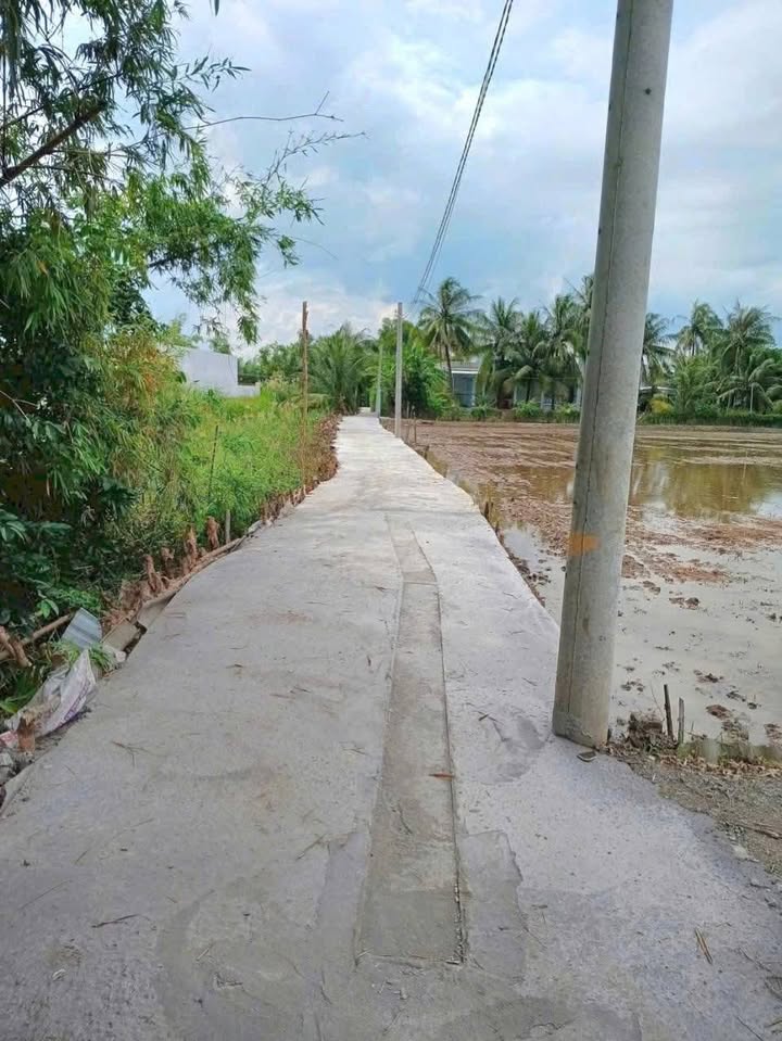 Đất lúa 729m² tại Mỹ Lộc, Cần Giuộc - Giá 1.8 tỷ, pháp lý rõ ràng!