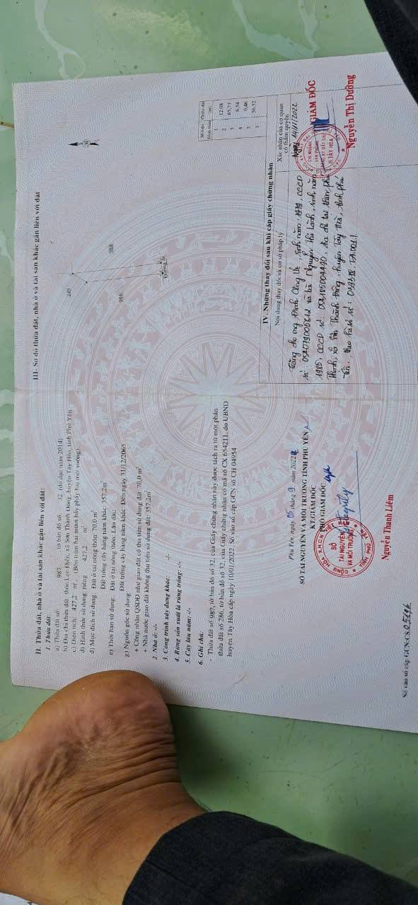 Đất thổ cư 392m² Sơn Thành Đông, Tây Hòa, Phú Yên chỉ 500 triệu - Cơ hội đầu tư tuyệt vời!