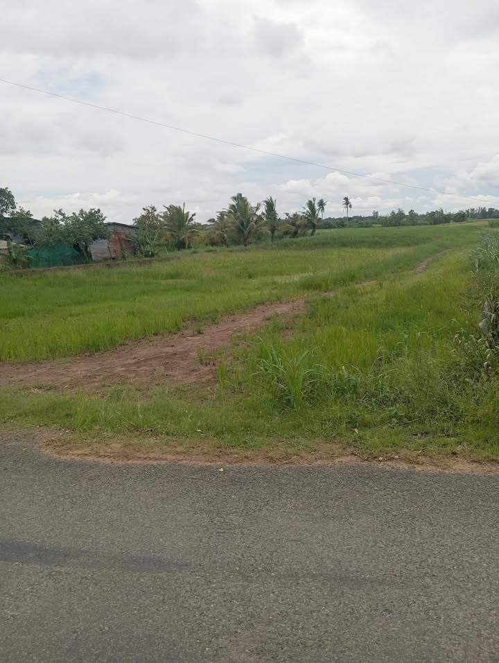 Đất nền Long Vĩnh Gò Công Tây 154m² chỉ 260 triệu - Đầu tư sinh lời ngay!