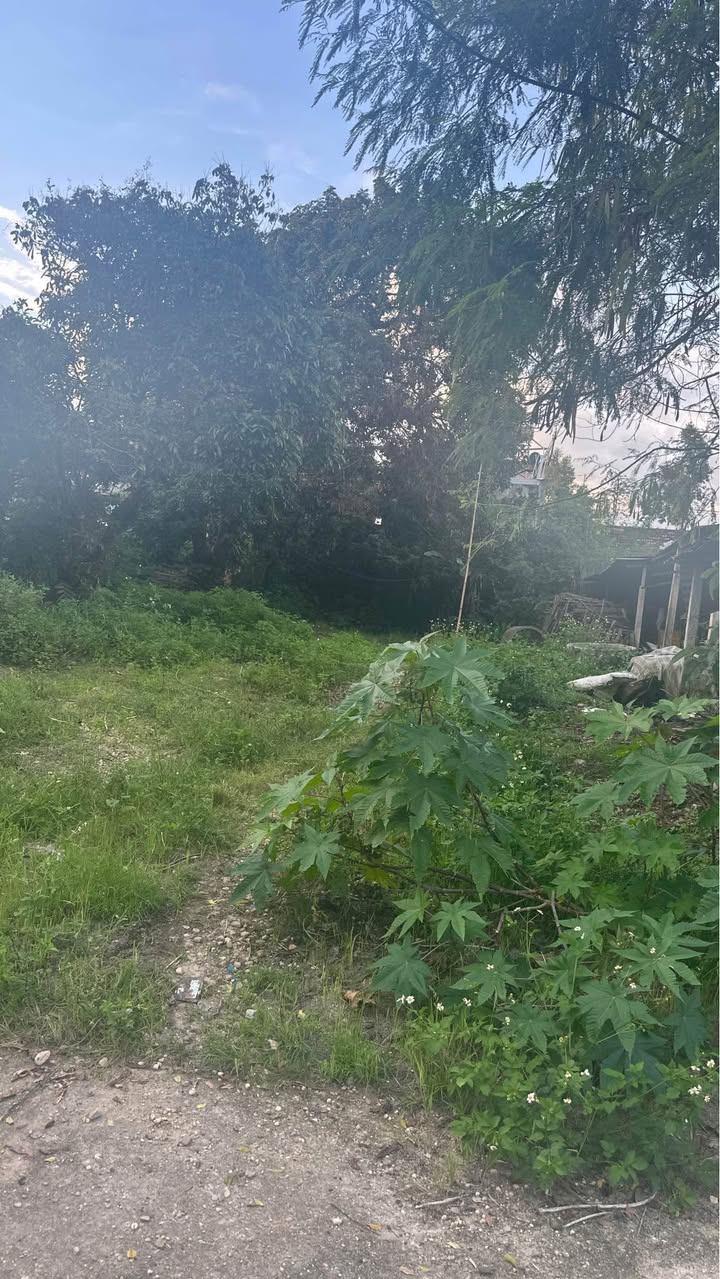 Đất thổ cư Phường Thắng Lợi, TP Kon Tum 150m² - Đầu tư sinh lời lâu dài!