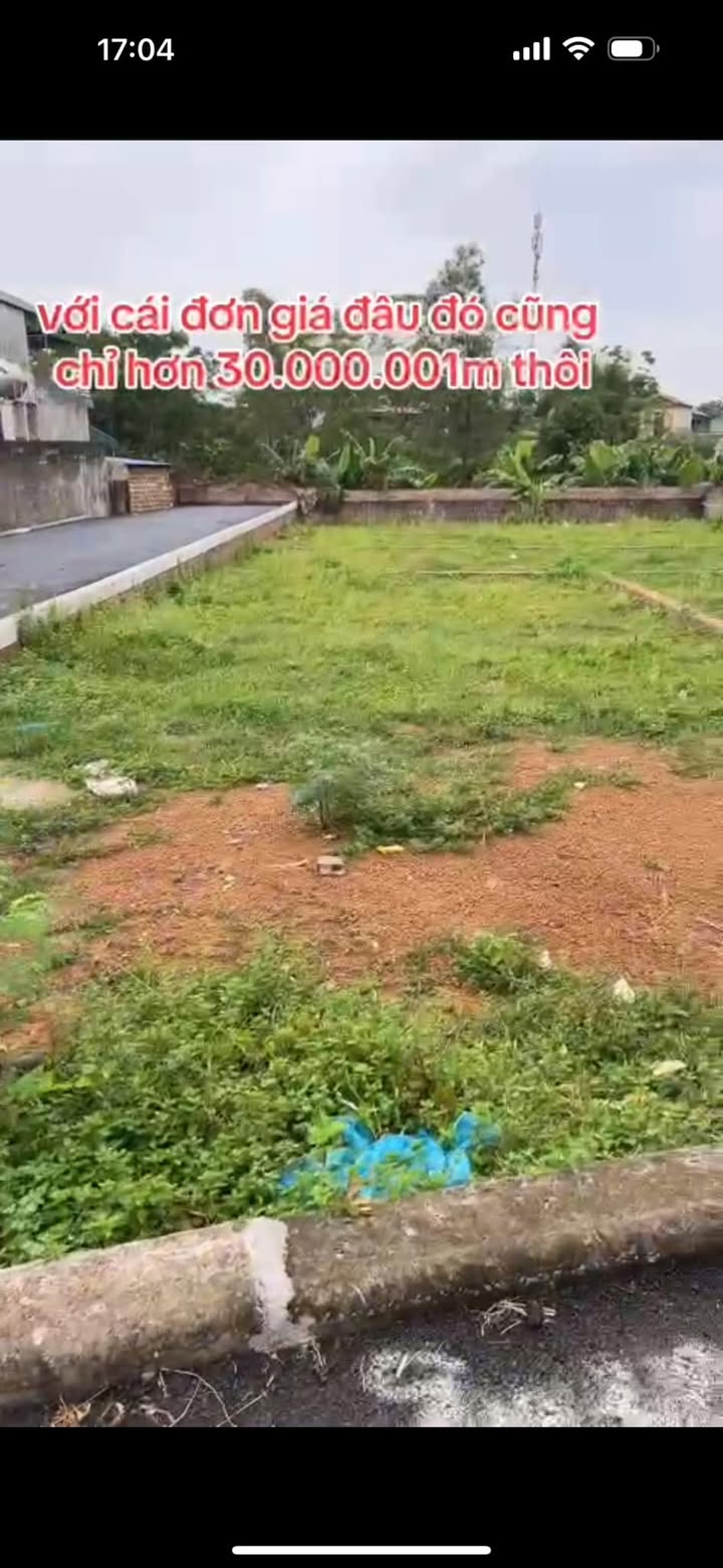 Bán lô đất 100m² thôn Cánh Chủ, Hạ Bằng, Hà Nội - Đầu tư tiềm năng