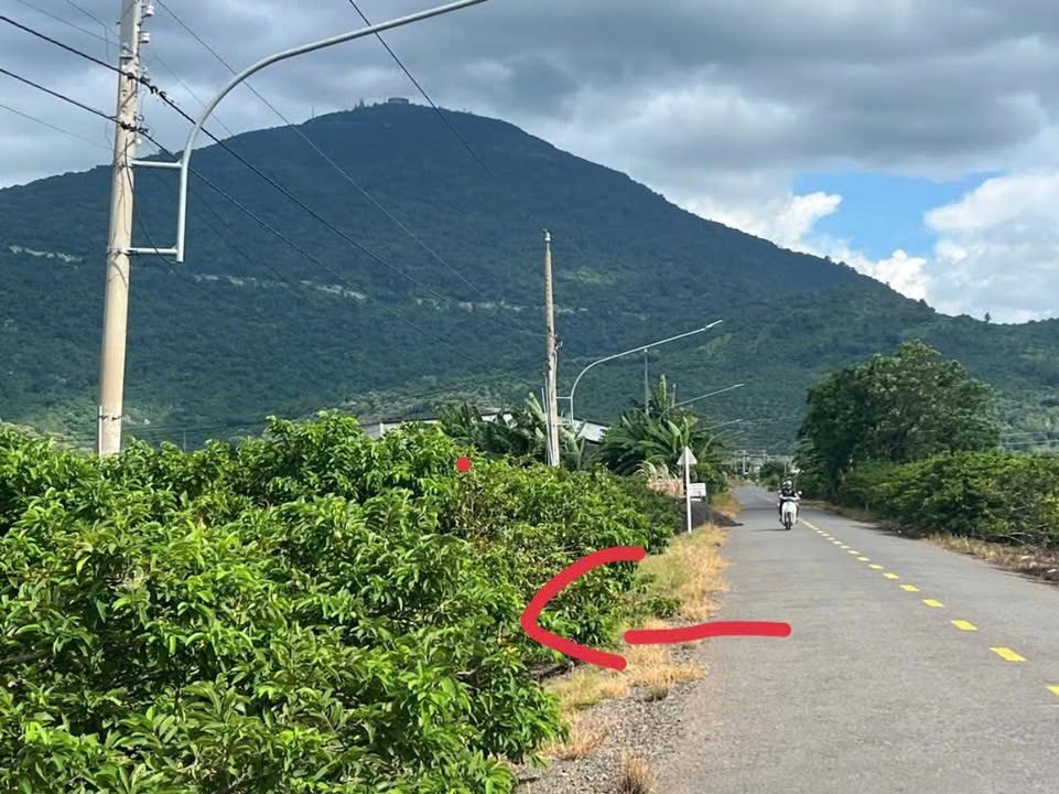 Đất thổ cư mặt tiền Nhựa Thạnh Trung Thạnh Tân 100m² giá 200 triệu - Cơ hội đầu tư sinh lời!