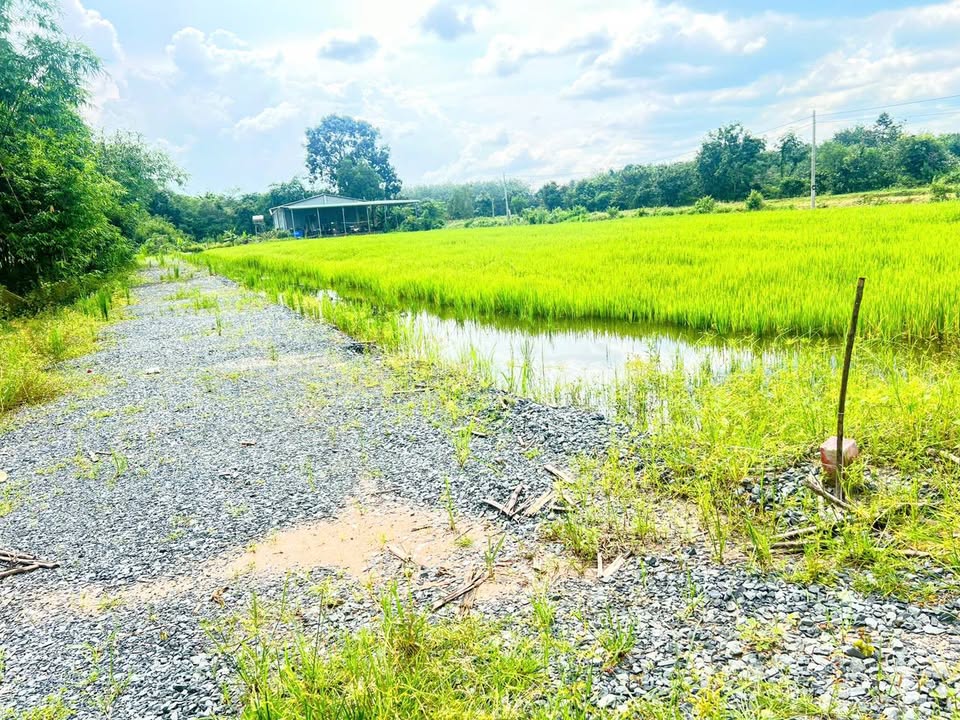 Đất thổ cư Cầu Khởi 175m² giá 210 triệu - Đầu tư sinh lời ngay!