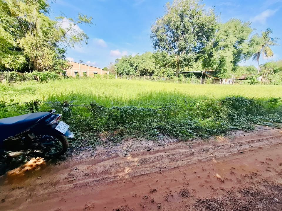 Đất thổ cư Cầu Khởi, Dương Minh Châu 105m² giá 199 triệu - Cơ hội đầu tư hấp dẫn!