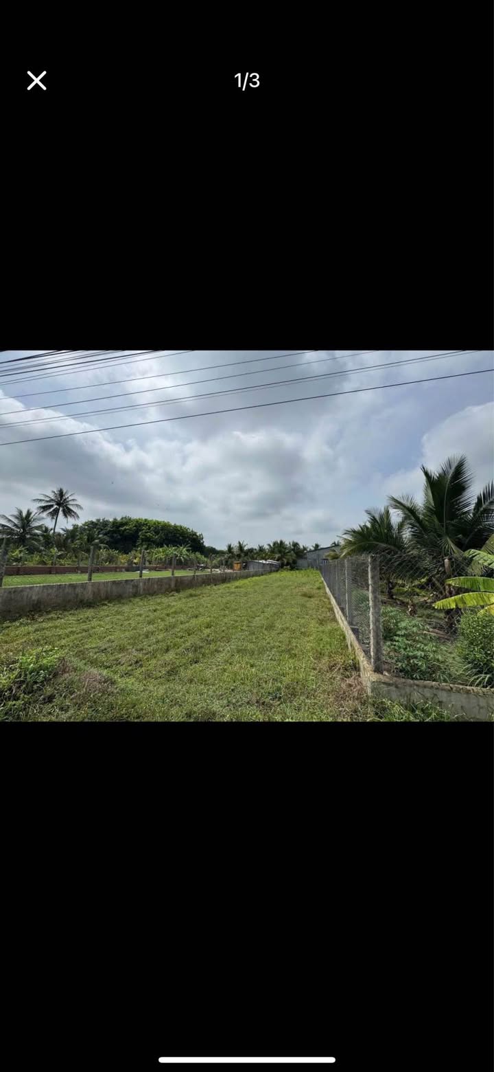 Đất nền chính chủ ấp Phước Hòa, Gò Dầu 620m² giá 6.2 tỷ - Vị trí kinh doanh sầm uất!