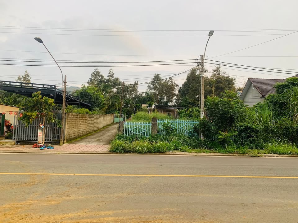 Đất nền 310m² mặt tiền đường 1/5 - B'Lao - Giá 4.85 tỷ - Kinh doanh tuyệt vời!