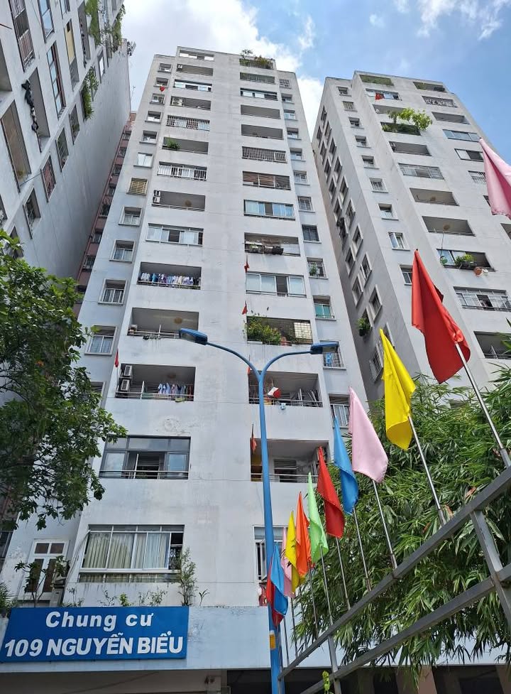 Chung cư 109 Nguyễn Biểu, Quận 5, 45m² giá 10 triệu - View đẹp, đầy đủ nội thất!