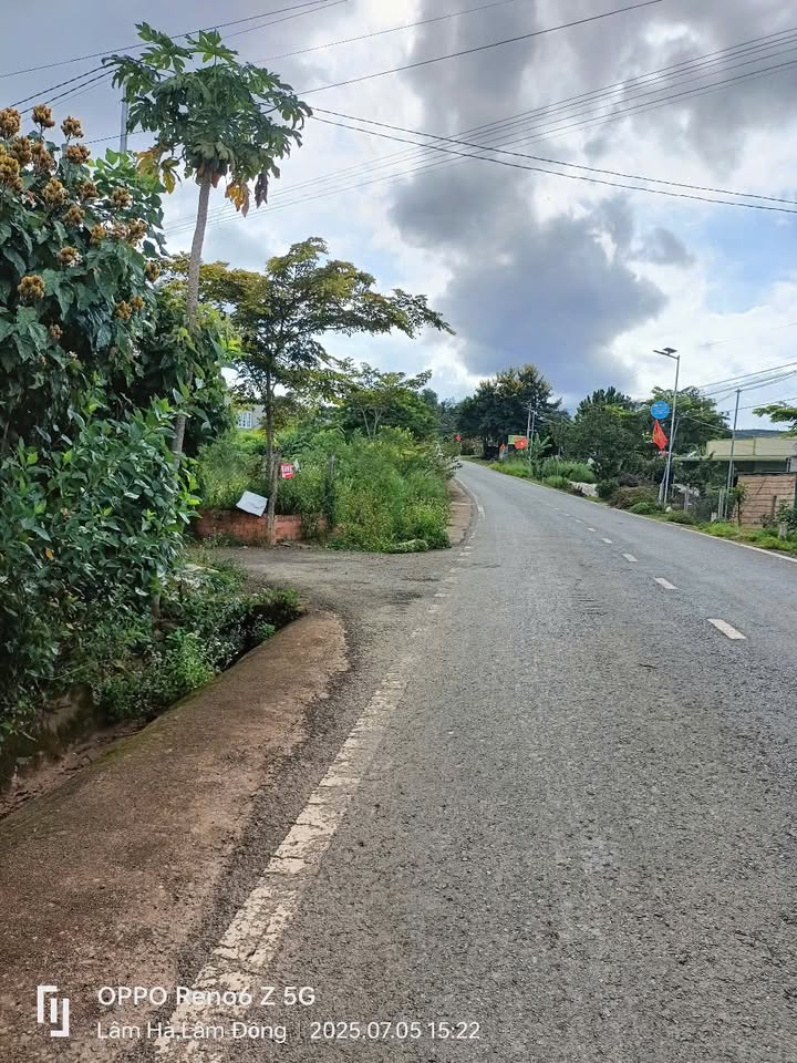 Sang nhượng đất cà phê 1,2ha tại Đinh Văn, Lâm Hà - Giá chỉ 1.8 tỷ