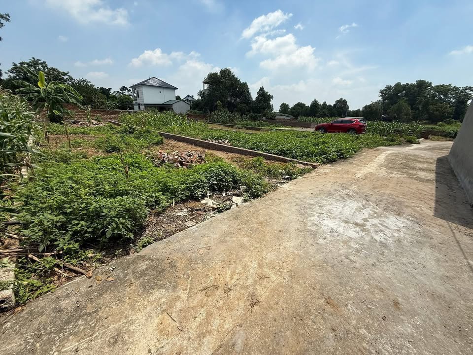 Đất nền 150m² tại Tân Xã, Thạch Thất - Giá cả thuận tình cho nhà đầu tư!