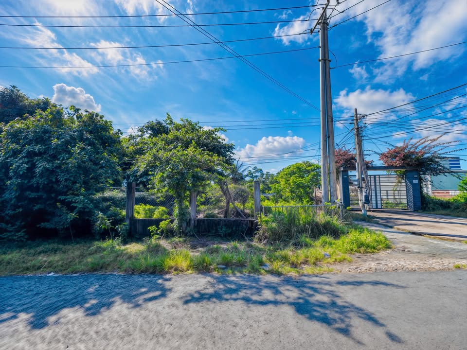 Bán đất 2 mặt tiền Nguyễn Thông, Tân Bình, Lagi 144m² giá 1.3 tỷ - Tiềm năng đầu tư hấp dẫn!