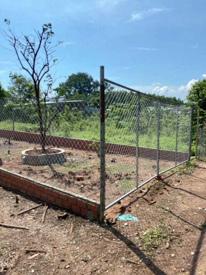 Đất nền Khu Phố 3, Thị Trấn Vĩnh An, 160m² chỉ 300 triệu - Cơ hội đầu tư tuyệt vời!