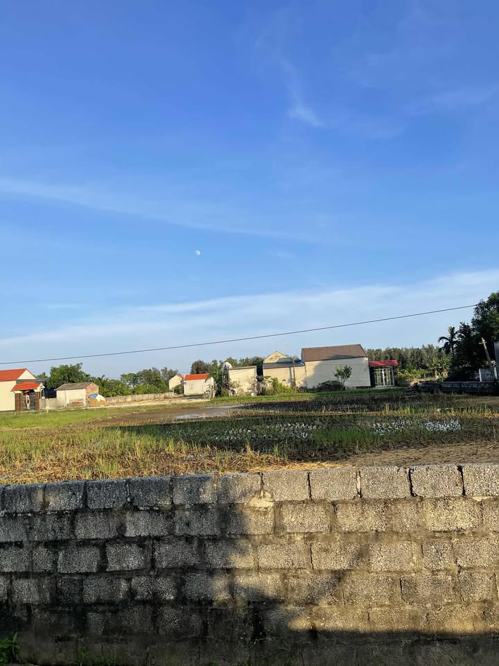 Đất nền Đa Lộc, Hậu Lộc 141m² - Chính chủ bán gấp, ô tô vào tận nơi!