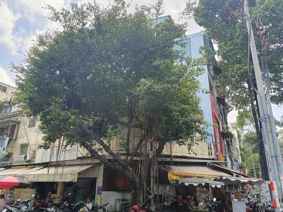 Nhà mặt tiền kinh doanh Nguyễn Chí Thanh, Q11, 110m² giá 24 tỷ - Vị trí đắc địa ngay Bệnh viện Chợ Rẫy!