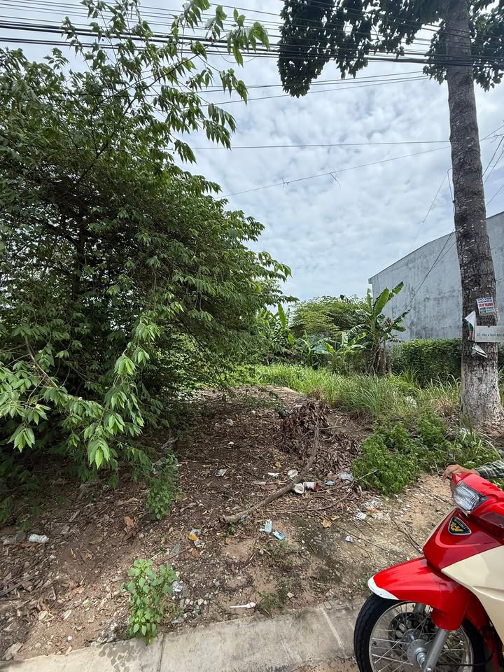 Đất nền Tháp Mười 70m² giá chỉ 1.4 tỷ - Đầu tư sinh lời ngay!