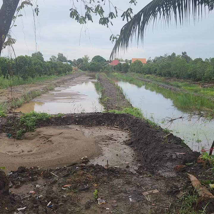 Đất nền Tháp Mười 1500m² giá thương lượng - Vị trí đắc địa mặt tiền đường lộ lớn