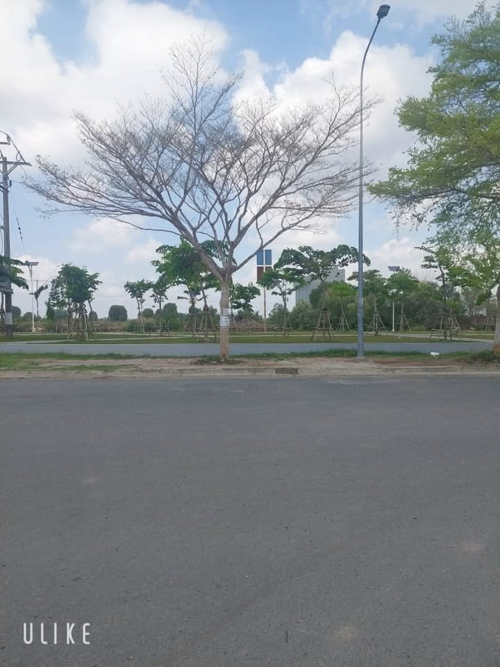 Đất nền biệt thự đường Lê Hồng Phong, Bạc Liêu 192.8m² - Đầu tư sinh lời ngay!