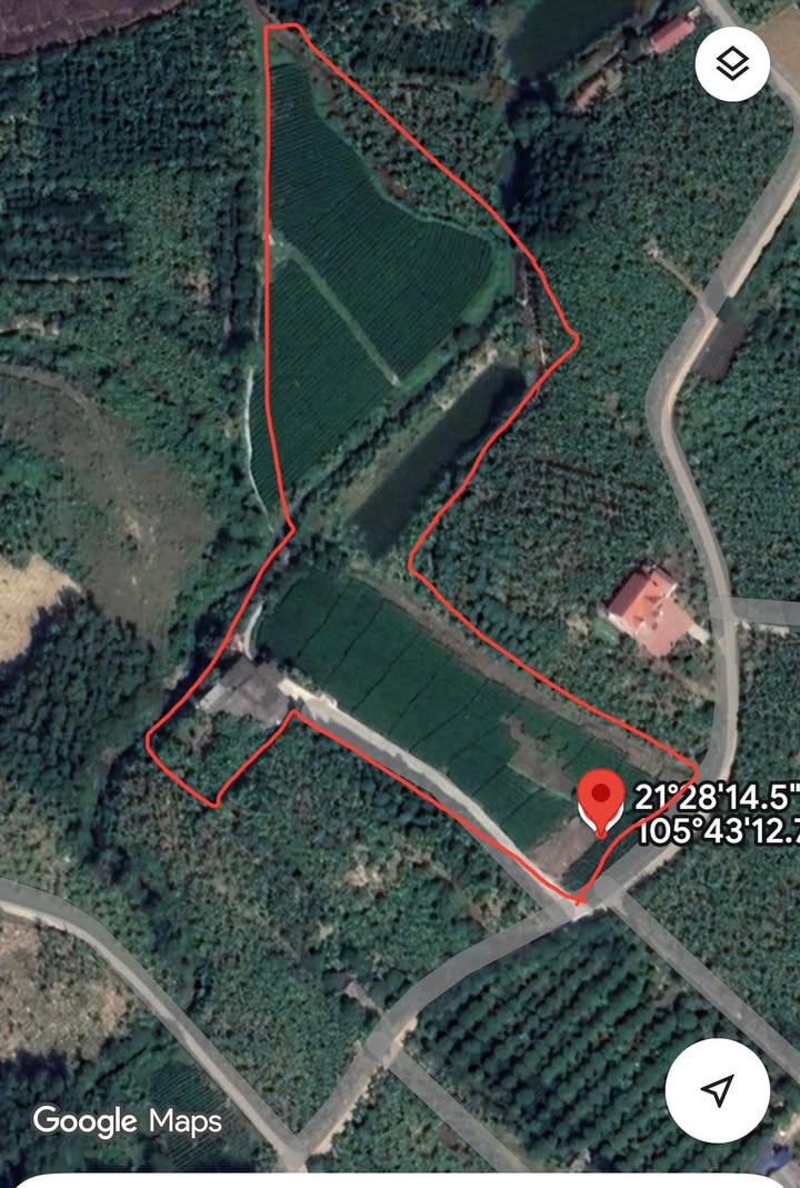 Đất Farm Phúc Thuận, Phổ Yên 20,000m² giá 6 tỷ - Đầu tư sinh lời ngay!