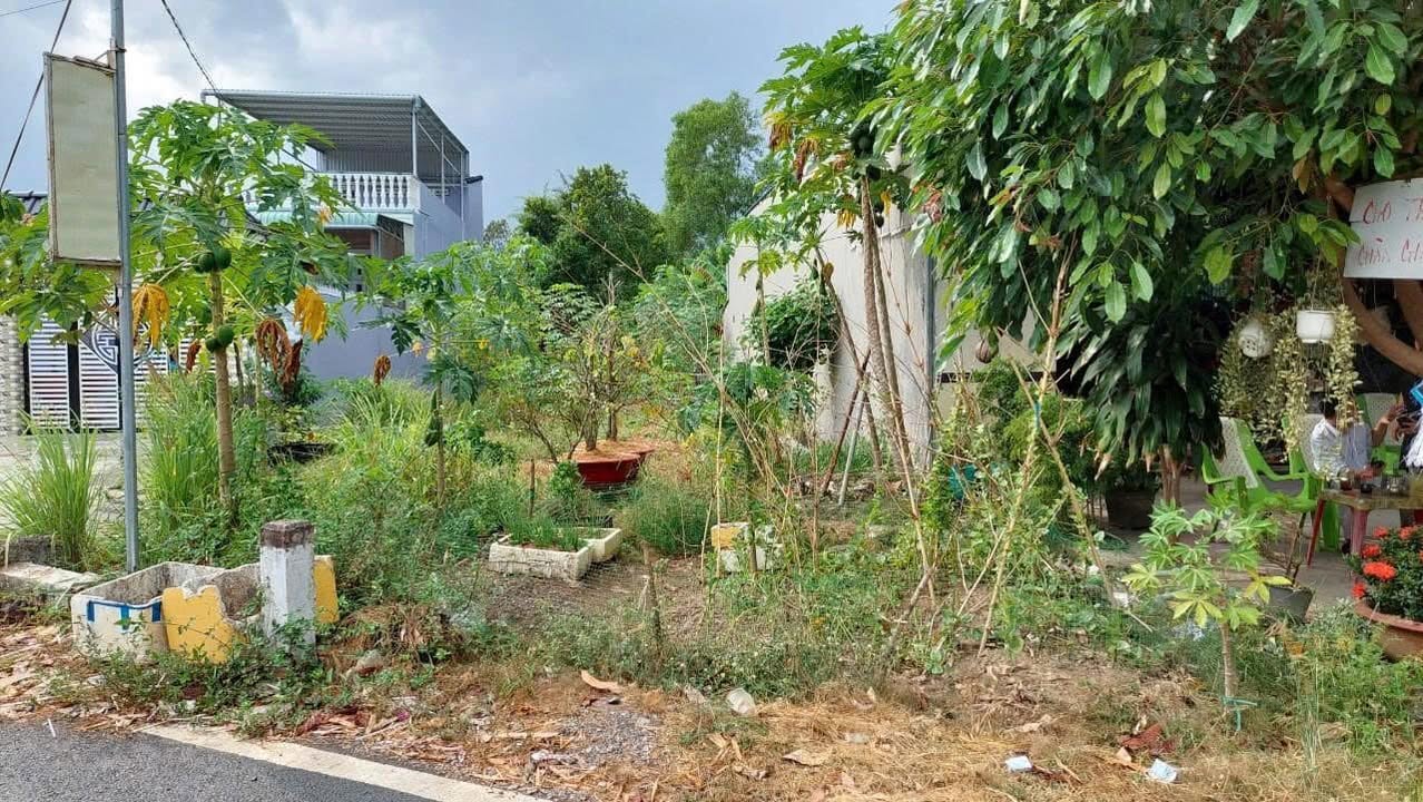 Bán đất mặt tiền đường Trương Vĩnh Nguyên, Cái Răng, Cần Thơ 276m² - Sổ hồng chính chủ