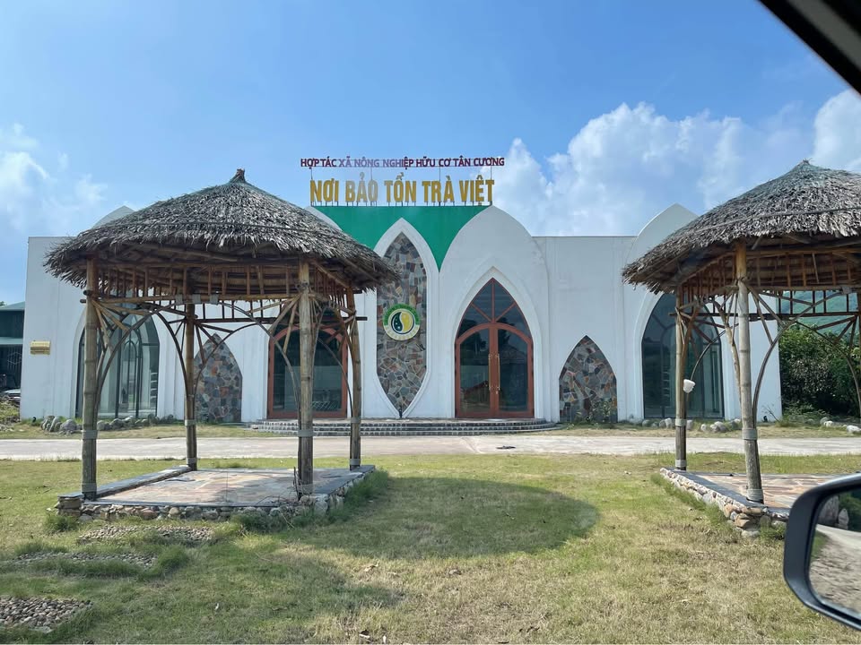 Đất thổ cư 4000m² tại Tân Cương, Thái Nguyên - Tiềm năng phát triển Homestay!