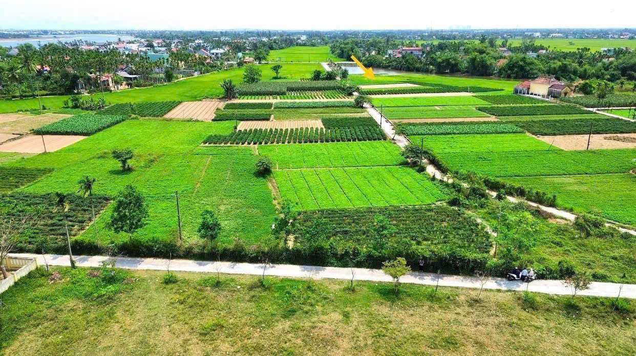 Đất nền Hòa Phong, Hòa Vang 1000m² giá 5 tỷ - View cánh đồng tuyệt đẹp!