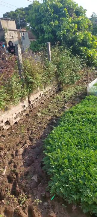 Đất nền Nghĩa Phú 186m² giá 400 triệu - Hướng Đông mát mẻ, gần chợ!