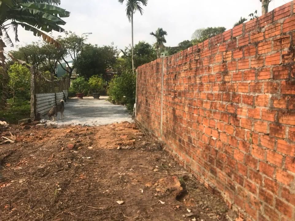 Đất vườn An Sơn 352m² giá 1.9 tỷ - Cơ hội đầu tư sinh lời!