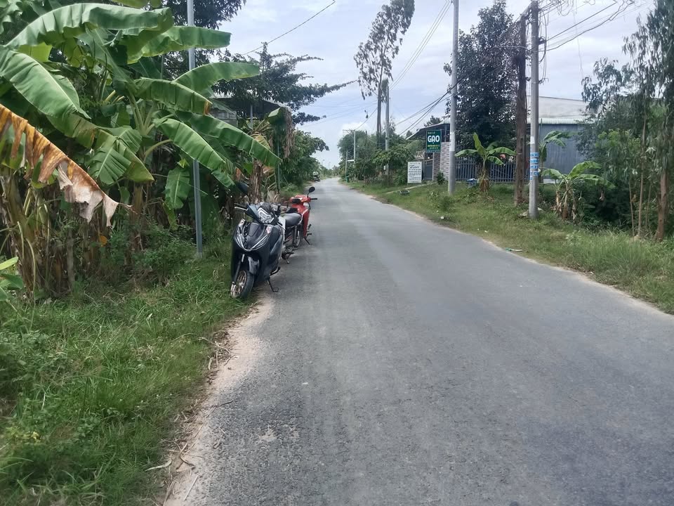 Đất thổ cư 160m² ấp Go Bôi, xã Tân Hội Cơ, giá 1.04 tỷ - Cơ hội đầu tư hiếm có!