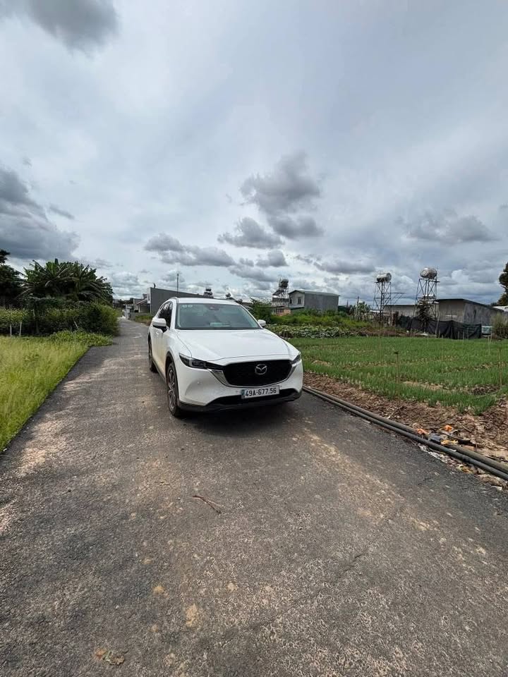 Đất nền Phú Hội, Đức Trọng 110m² giá 1.25 tỷ - Đầu tư sinh lời tuyệt vời!