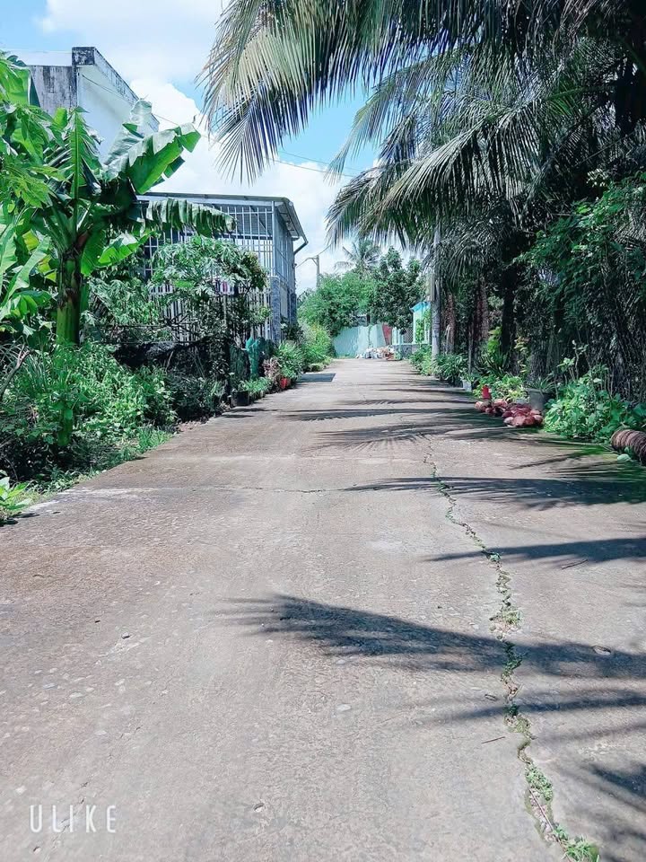 Đất nền Long Hòa A, Đạo Thạnh, Mỹ Tho 115m² giá 1.25 tỷ - Đầu tư sinh lời nhanh chóng!