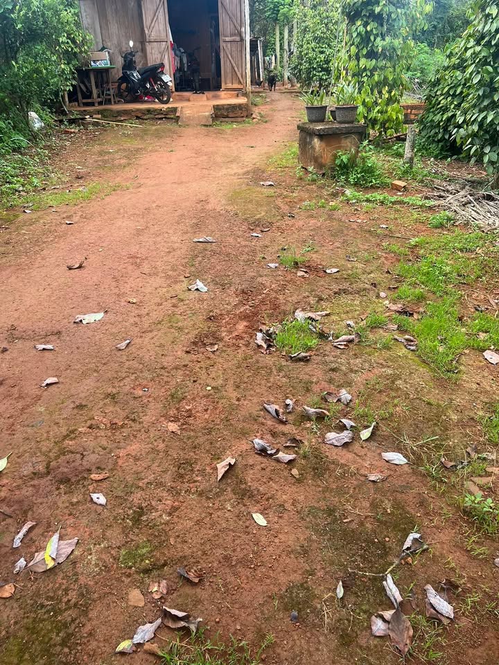 Đất nền Đức Mạnh, Đắk Mil 252m² giá chỉ 680 triệu - Đầu tư sinh lời ngay!