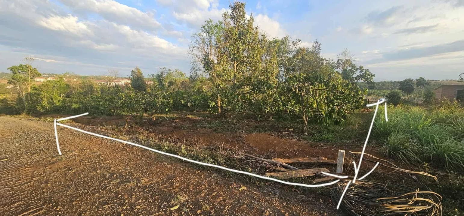 Đất thổ cư 100m² tại Nghĩa Trung, Gia Nghĩa, Đắk Nông - Giá chỉ 950 triệu!