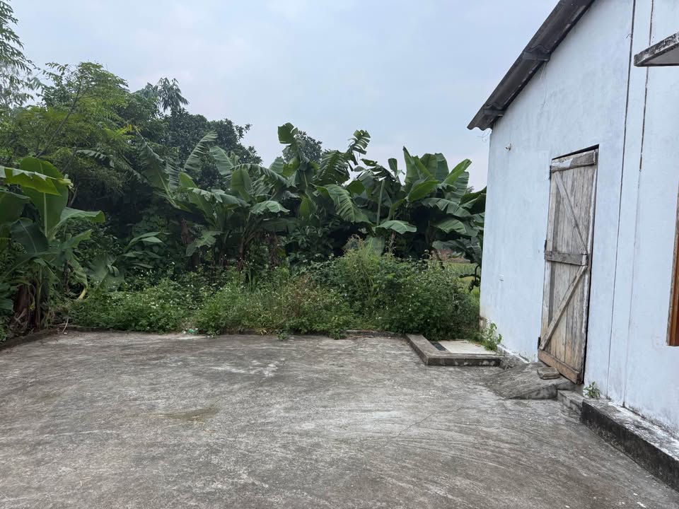 Nhà cấp 4 Tuyên Quang 561m² giá 1.45 tỷ - Tặng ao cá hấp dẫn!