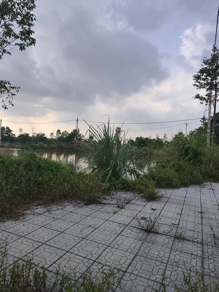 Đất nền xã Đông Tiến, huyện Đông Sơn 140m² giá 1 tỷ - Cơ hội đầu tư không thể bỏ lỡ!