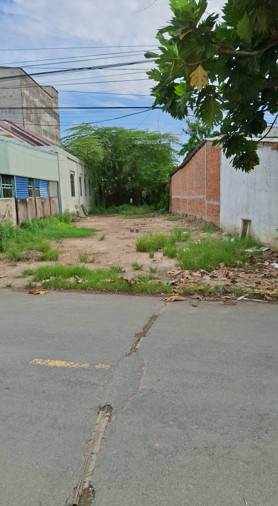 Đất Mặt Tiền Đường Tỉnh 865, Xã Phú Cường, 3361m² - Giá Tốt Thương Lượng