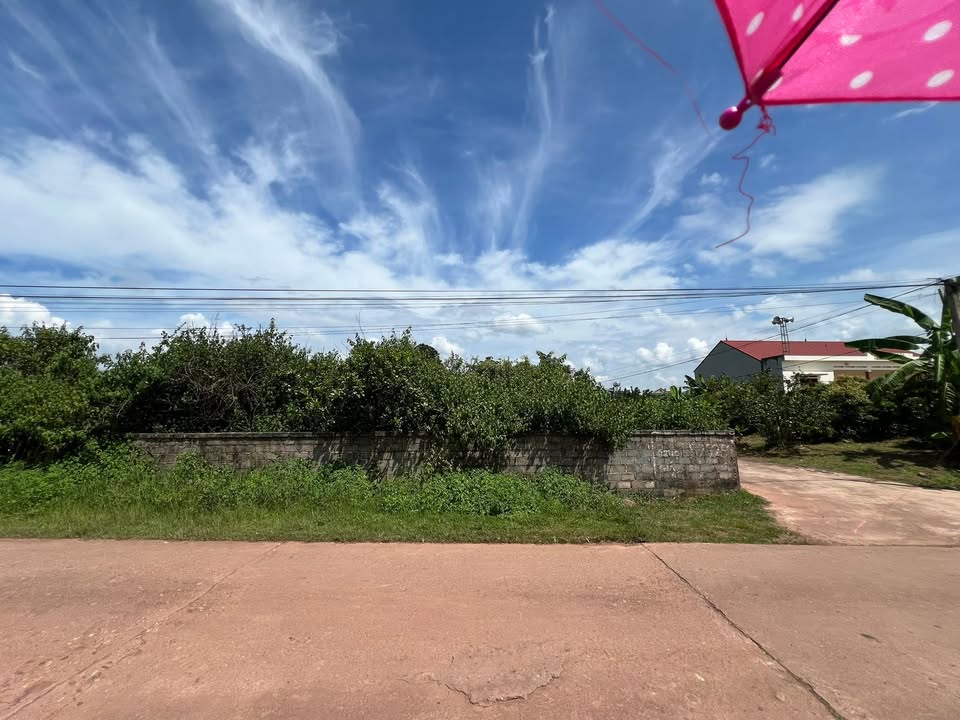 Đất mặt đường xã Quý Sơn, Lục Ngạn 282m² - Pháp lý rõ ràng, tiềm năng sinh lời cao!