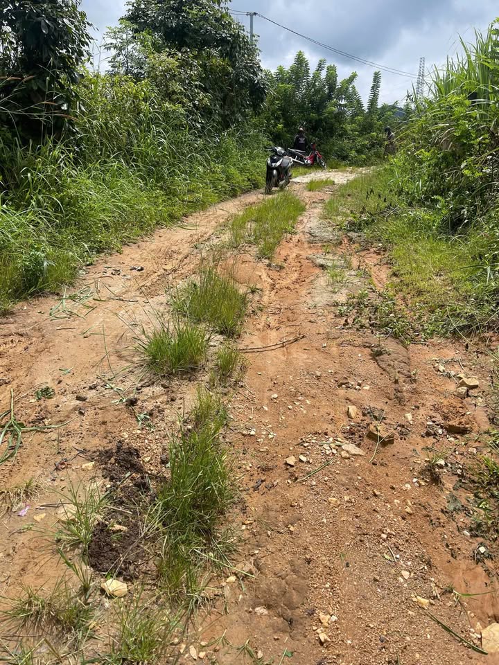 Đất thổ cư 390m² thôn 4 xã Chư Hreng, TP Kon Tum - Đầu tư sinh lời, không khí trong lành!