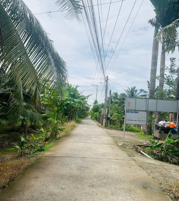 Đất thổ cư 97m² tại Phường Phú Tân, Bến Tre - Giá 680 triệu, thương lượng nhẹ!