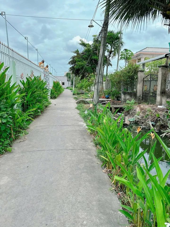 Nhà phố Hẻm Hoa Lâm, phường 7, Bến Tre 132m² giá 1.55 tỷ - Nhà còn mới, sẵn sàng vào ở!