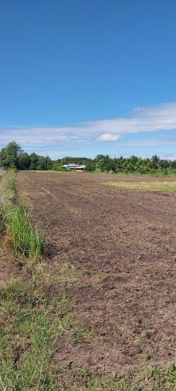 Đất nền Dương Minh Châu Tây Ninh 91.000m² giá 2 tỷ - View núi tuyệt đẹp!