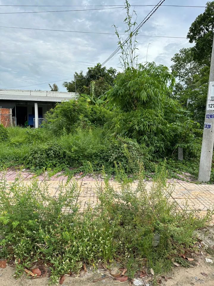 Đất nền đường 30/4, thị trấn Sa Rài, 56m² giá 425 triệu - Đầu tư sinh lời ngay!